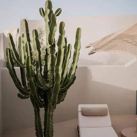 Daire Luna Santorini